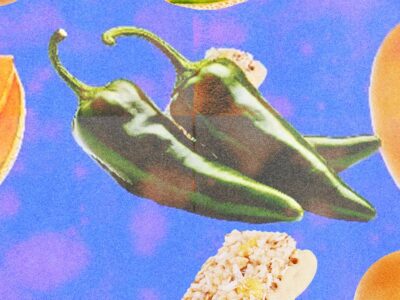 Salmonella Is Everywhere | WIRED